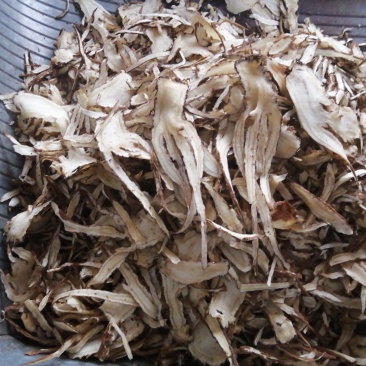 （新货包邮）甘肃岷县无硫大条当归，当归片（量大优惠）