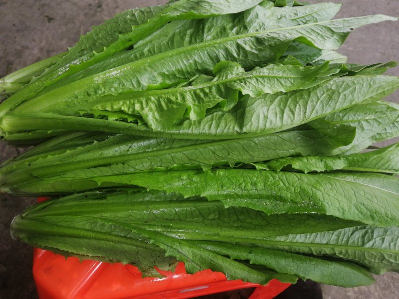 精品油麦