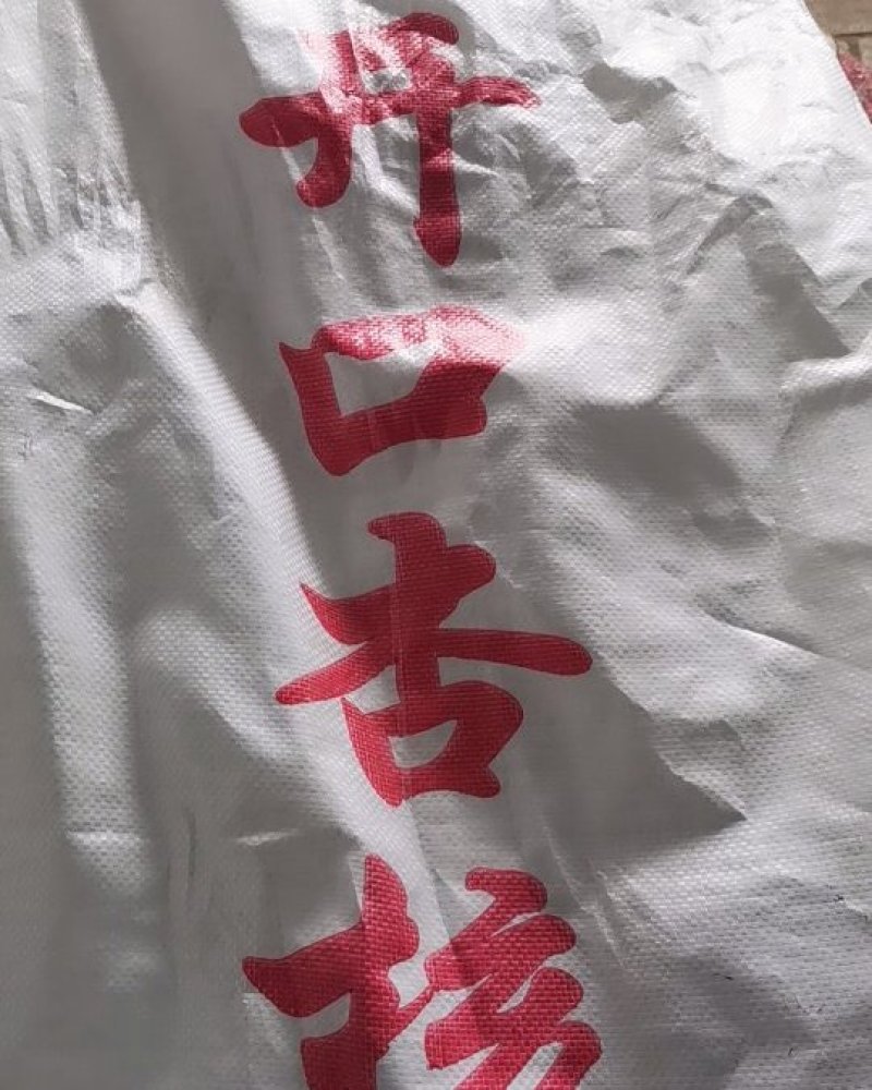 厂家直销批发开口杏核，纯尤一甜杏核，粒粒饱满，香脆可口