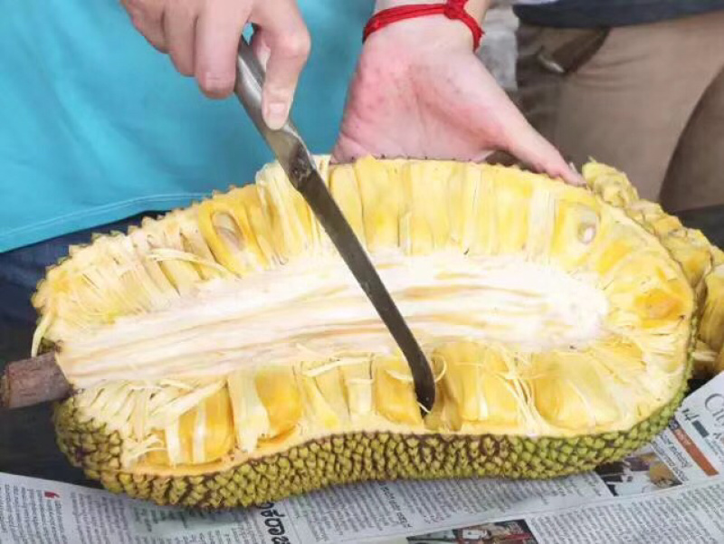 泰国菠萝蜜进口水果菠萝蜜新鲜进口