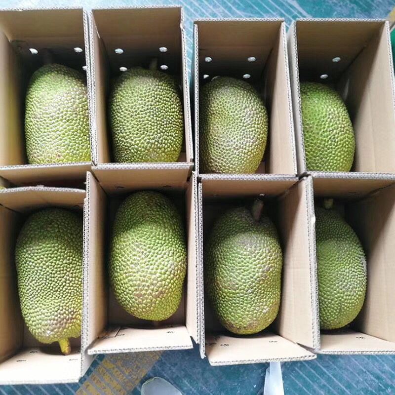 泰国菠萝蜜进口水果菠萝蜜新鲜进口