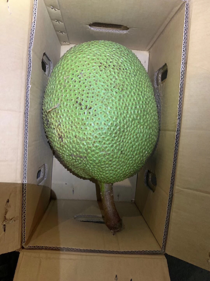 泰国菠萝蜜进口水果菠萝蜜新鲜进口