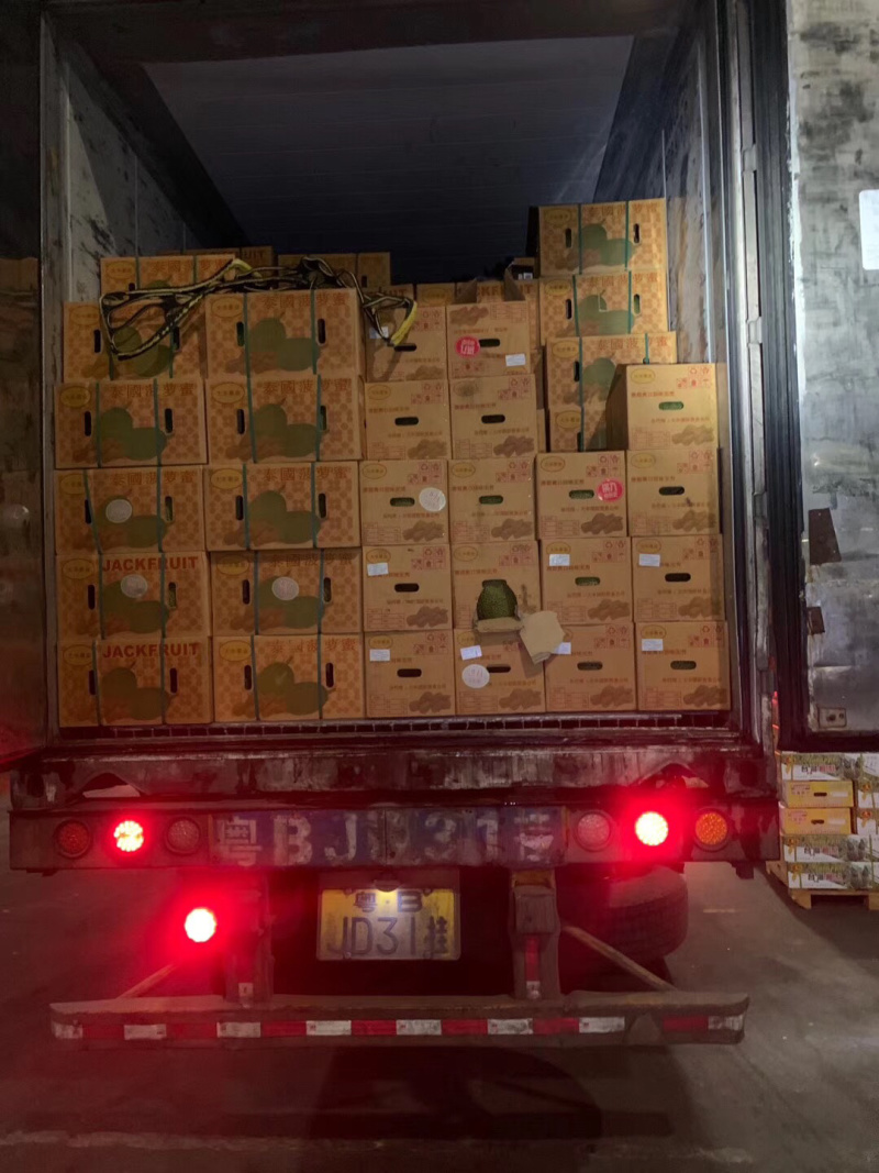 泰国菠萝蜜进口水果菠萝蜜新鲜进口