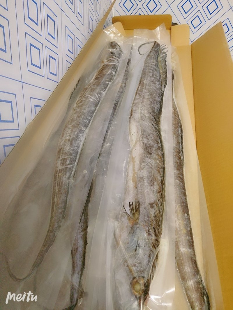 深海大刀鱼