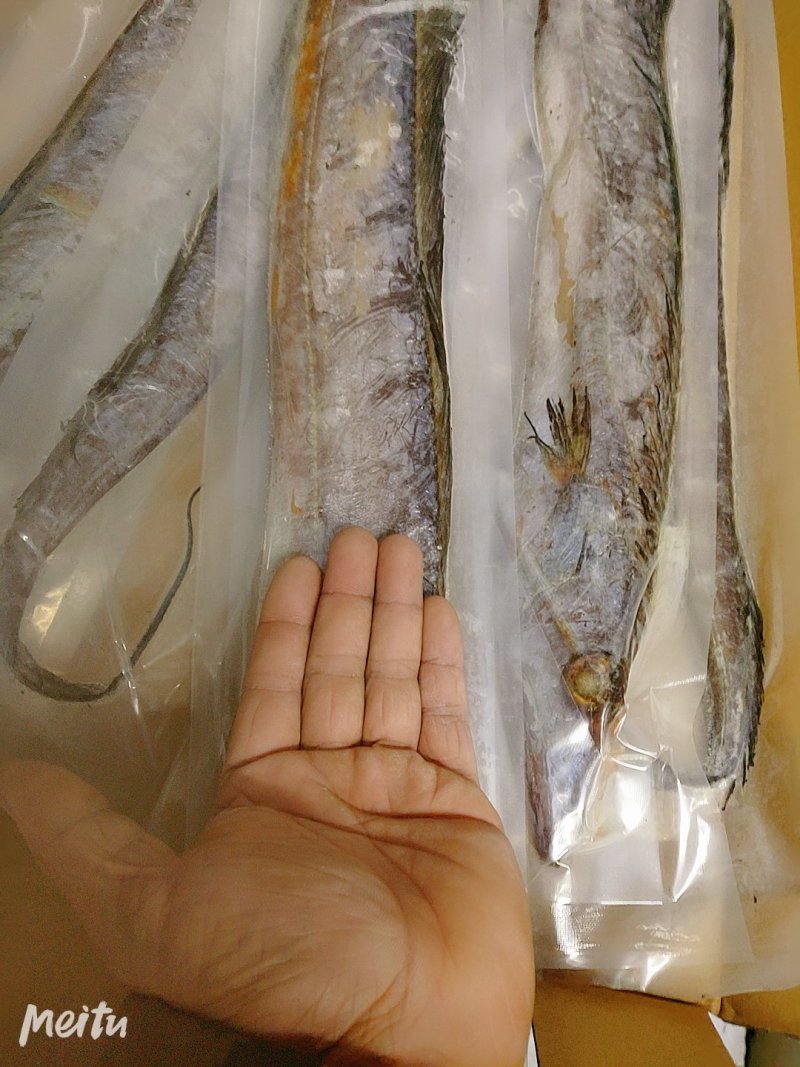深海大刀鱼