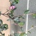 茶梅苗基地直销包邮可以视频看货选货线上交易下单