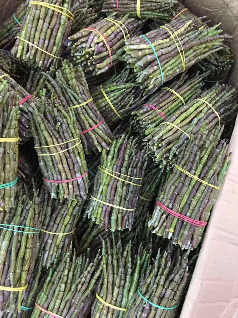 铁皮石斛鲜条，货鲜，胶质高，条子新鲜，包邮