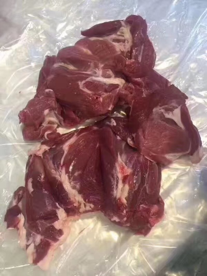 领头羊后腿包，纯干货后腿肉，可全国发货，常年供应