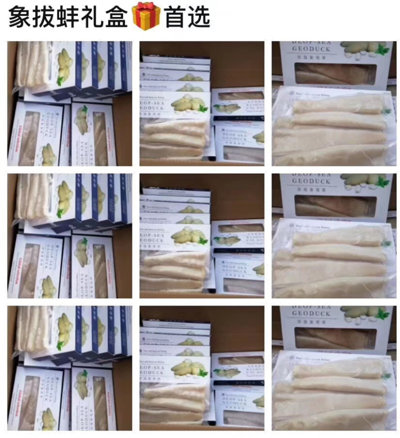 象拔蚌礼盒批发海鲜冻品批发速冻食品