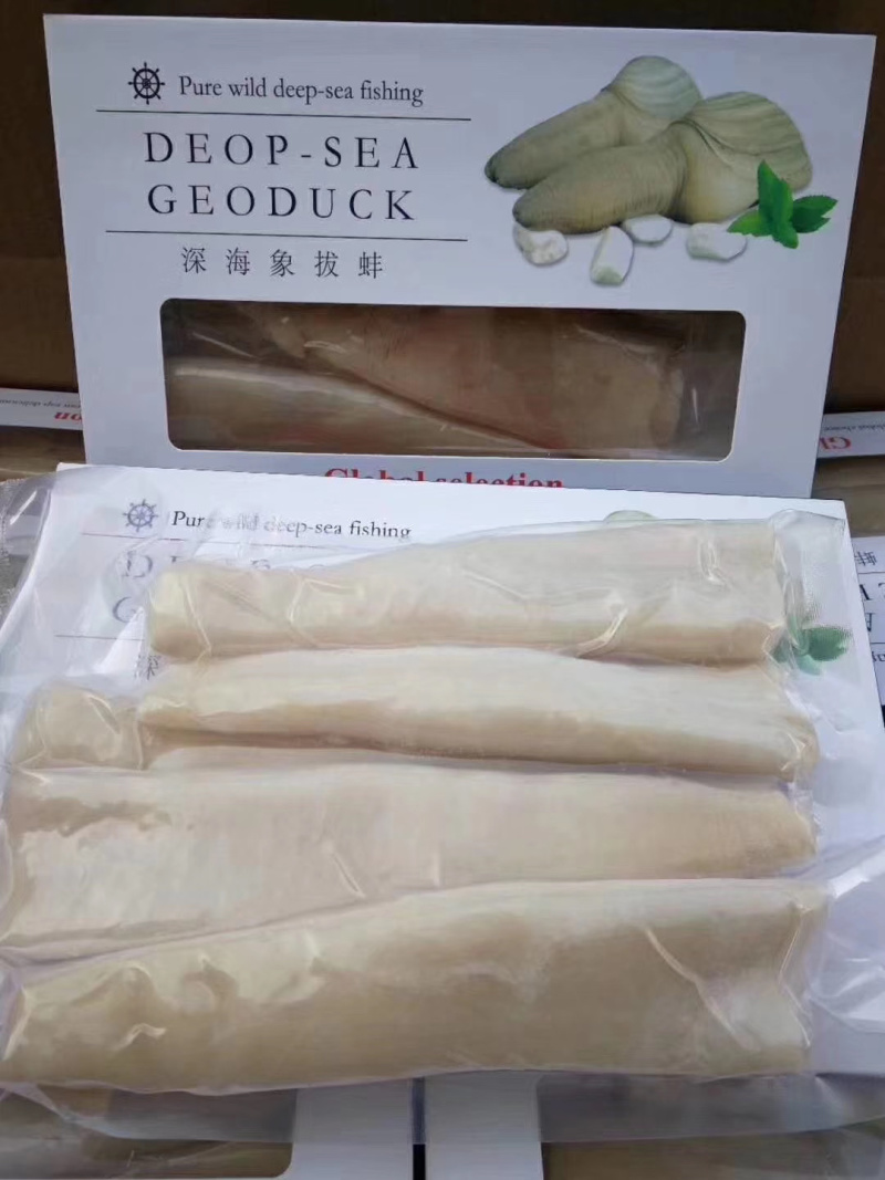 象拔蚌礼盒批发海鲜冻品批发速冻食品