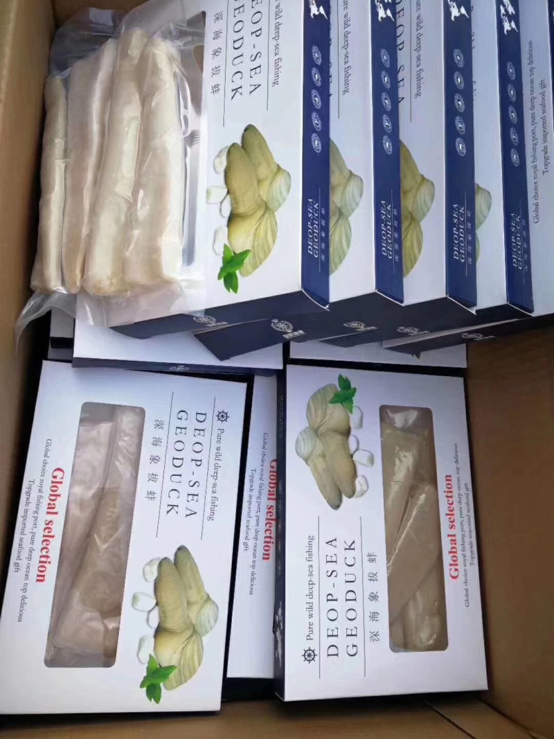 象拔蚌礼盒批发海鲜冻品批发速冻食品