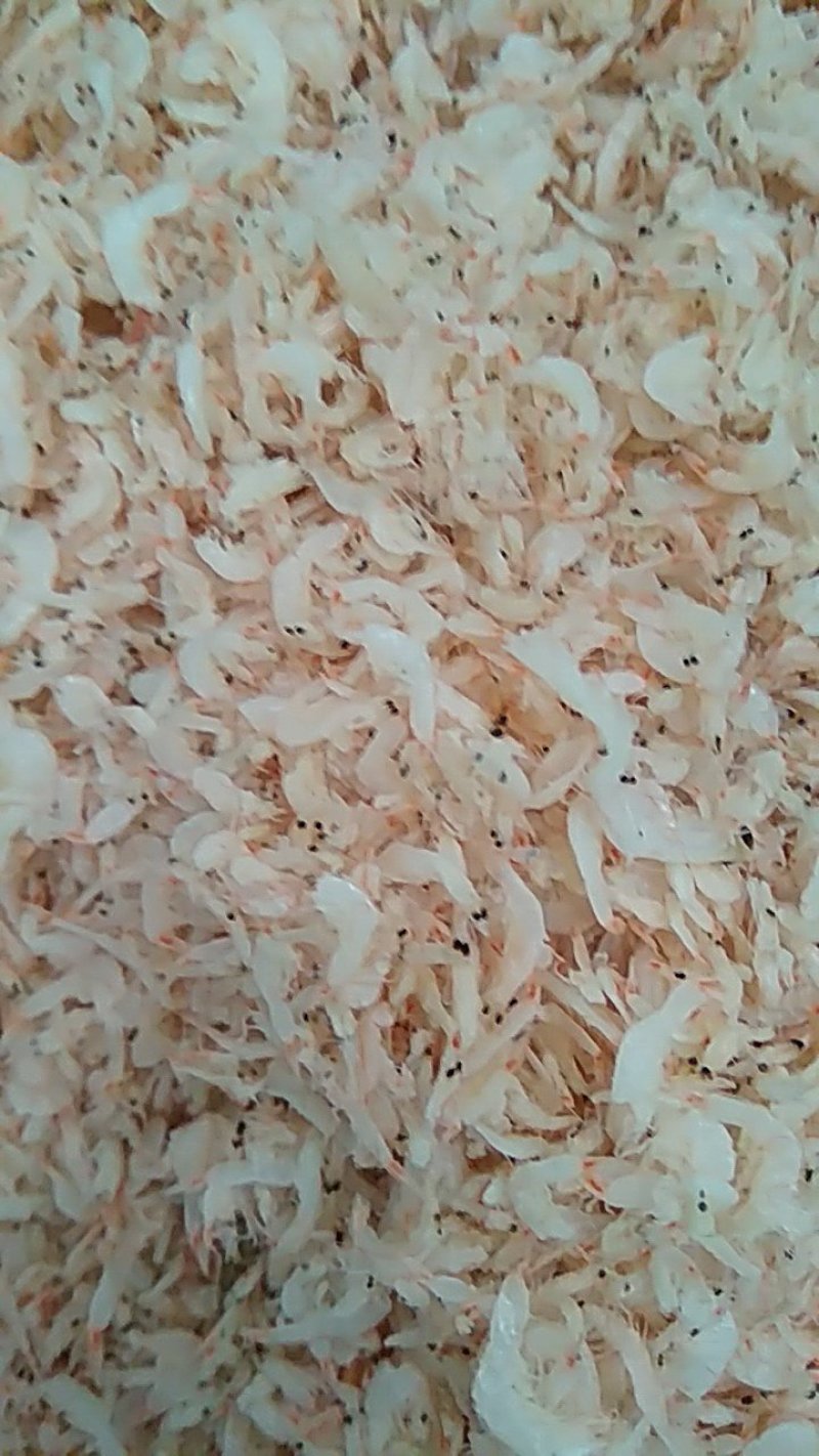 咸虾皮