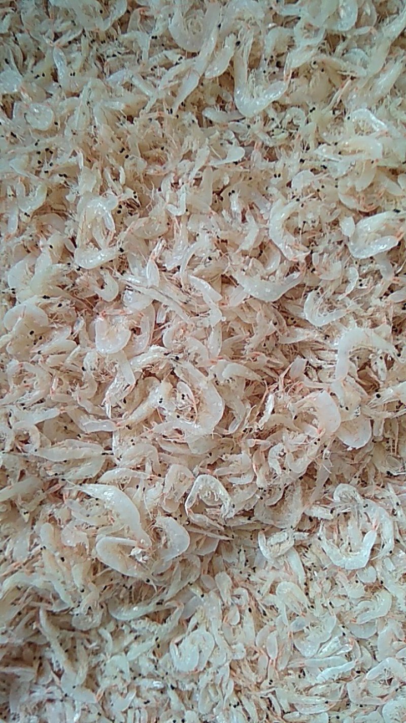咸虾皮