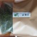 金花茶，一件代发