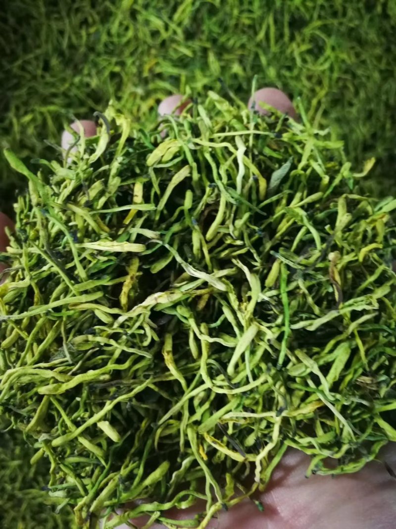 金花茶，一件代发