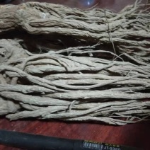 甘肃当归，品质优良(直发包邮）