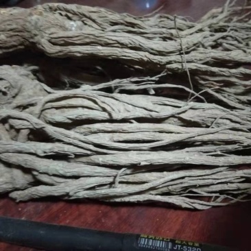 甘肃当归，品质优良(直发包邮）