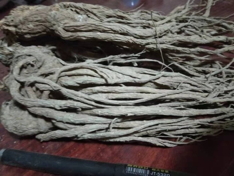 甘肃当归，品质优良(直发包邮）