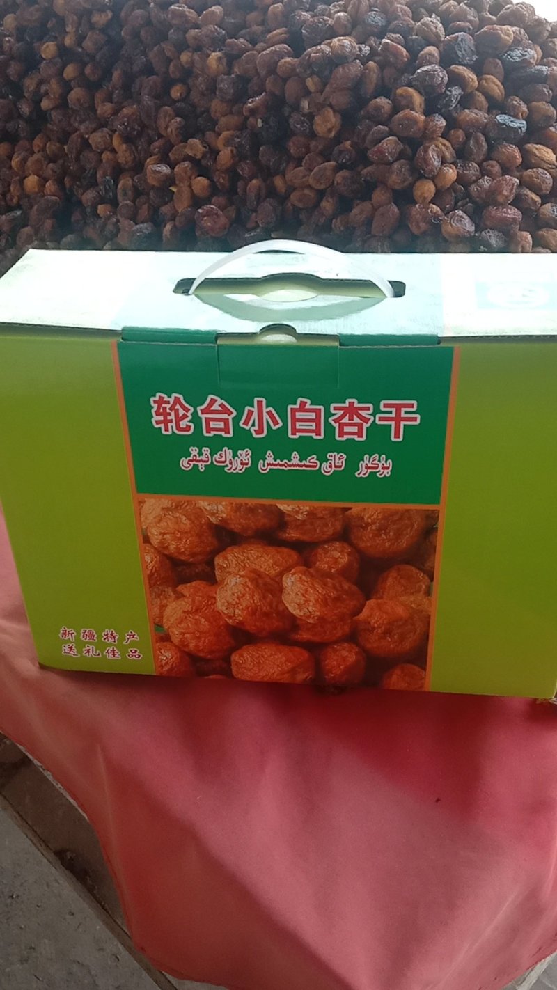 新疆轮台县小白杏干产地直发，欢迎大家品尝