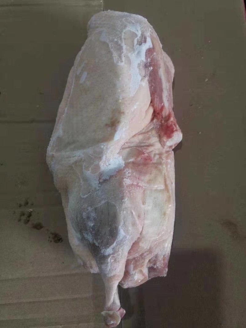 批发大厂干净，半片鸭，一手货源