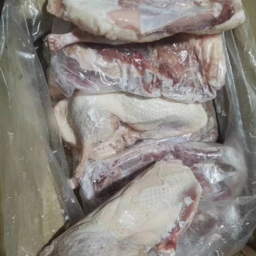 批发大厂干净，半片鸭，一手货源