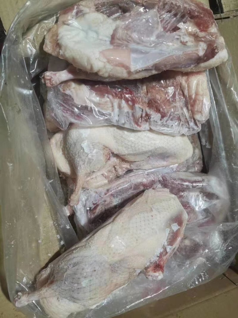 批发大厂干净，半片鸭，一手货源