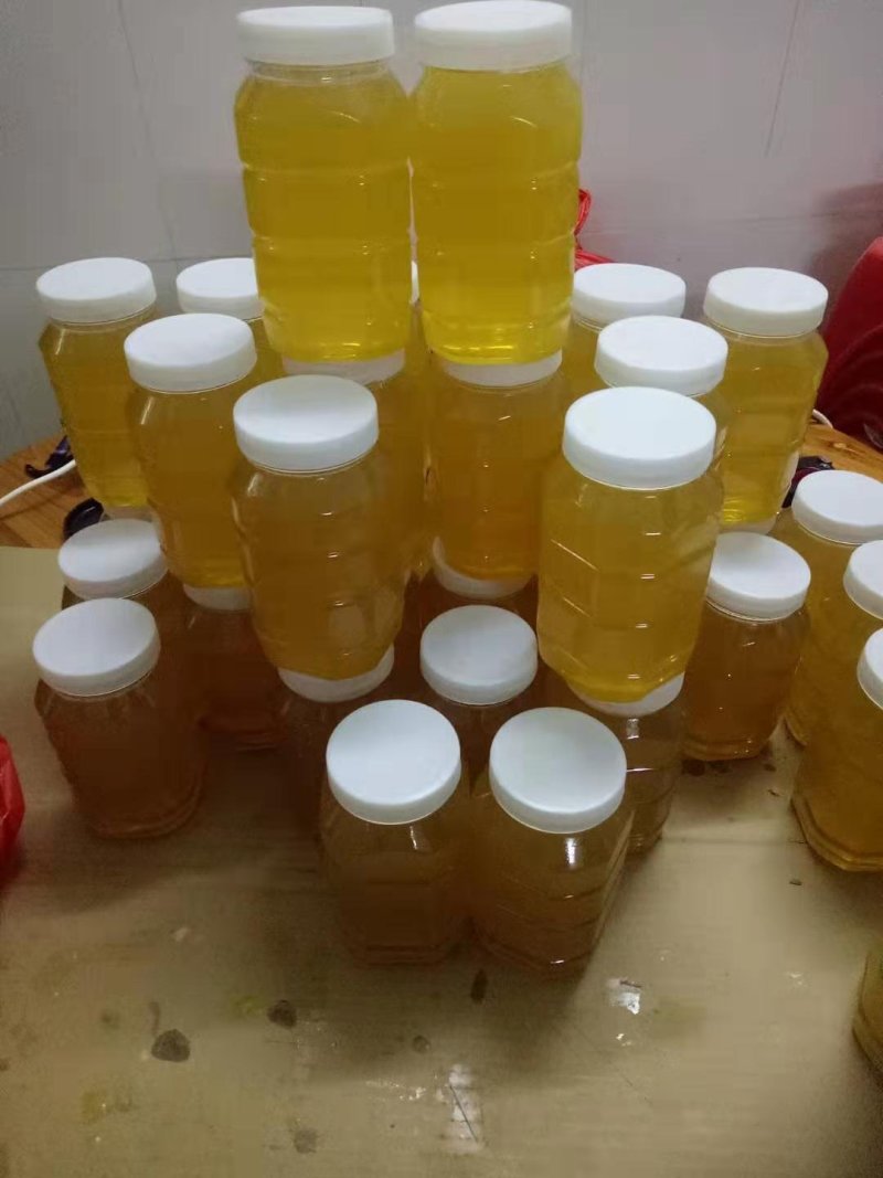 鸭脚木冬蜜