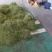 精品干豆角丝8~15厘米架豆王豆角丝蔚县贡菜之称