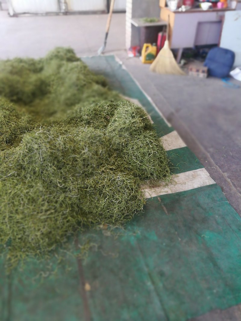 精品干豆角丝8~15厘米架豆王豆角丝蔚县贡菜之称