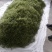 精品干豆角丝8~15厘米架豆王豆角丝蔚县贡菜之称