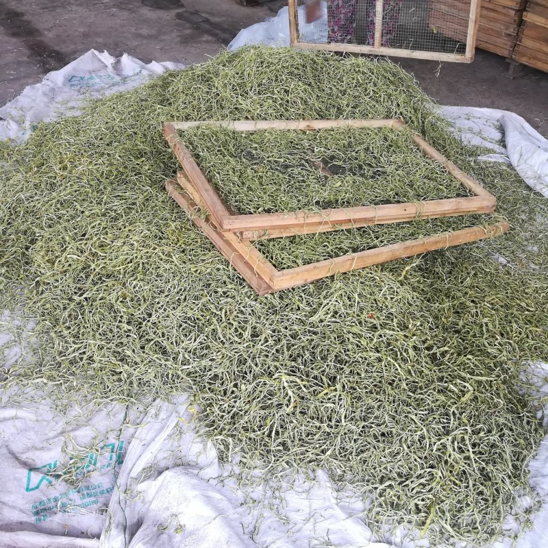 精品干豆角丝8~15厘米架豆王豆角丝蔚县贡菜之称