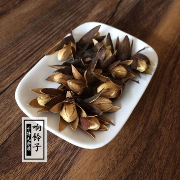 香椿子香铃子椿数子无硫净货保正品批发零售冷背中药材