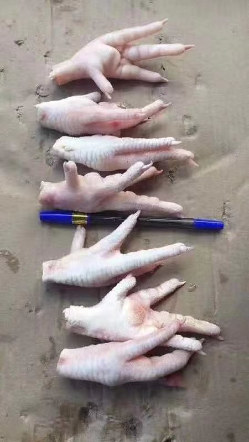 批发大厂，大小均匀凤爪