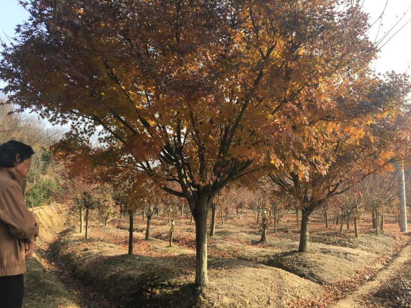 基地直供