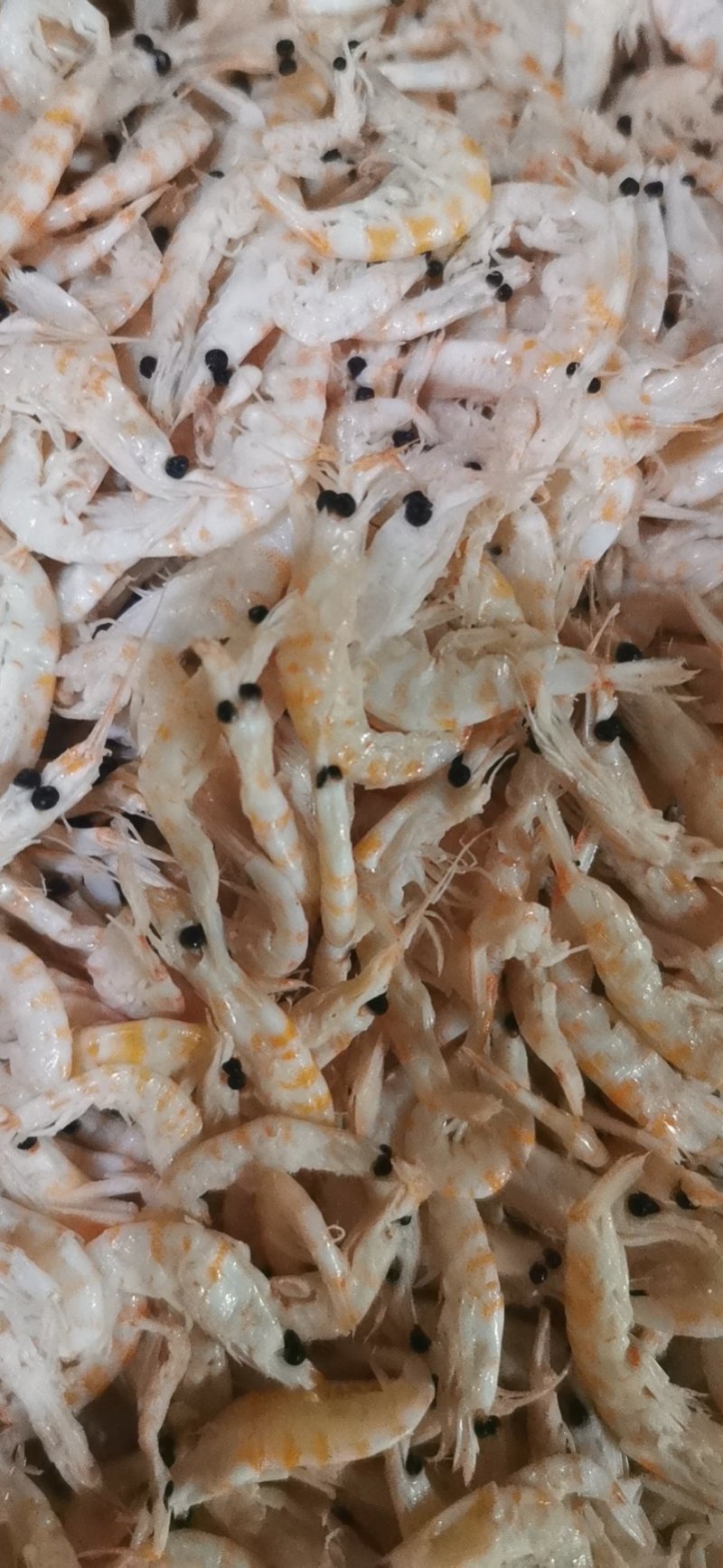麟虾干