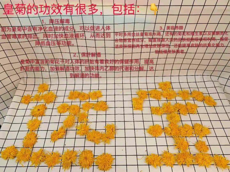 自产自销金丝皇菊花至尊礼品一朵一杯