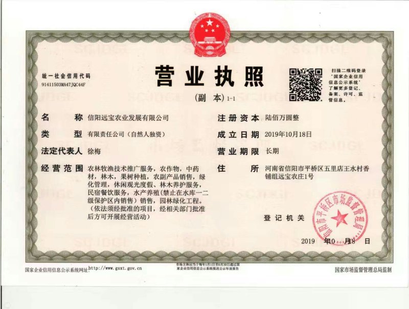 自产自销金丝皇菊花至尊礼品一朵一杯