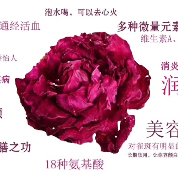 翠屏山下，玉带河畔，天地之精华，玫瑰花冠王！