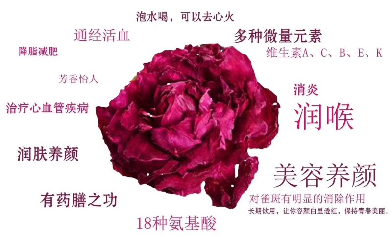 翠屏山下，玉带河畔，天地之精华，玫瑰花冠王！