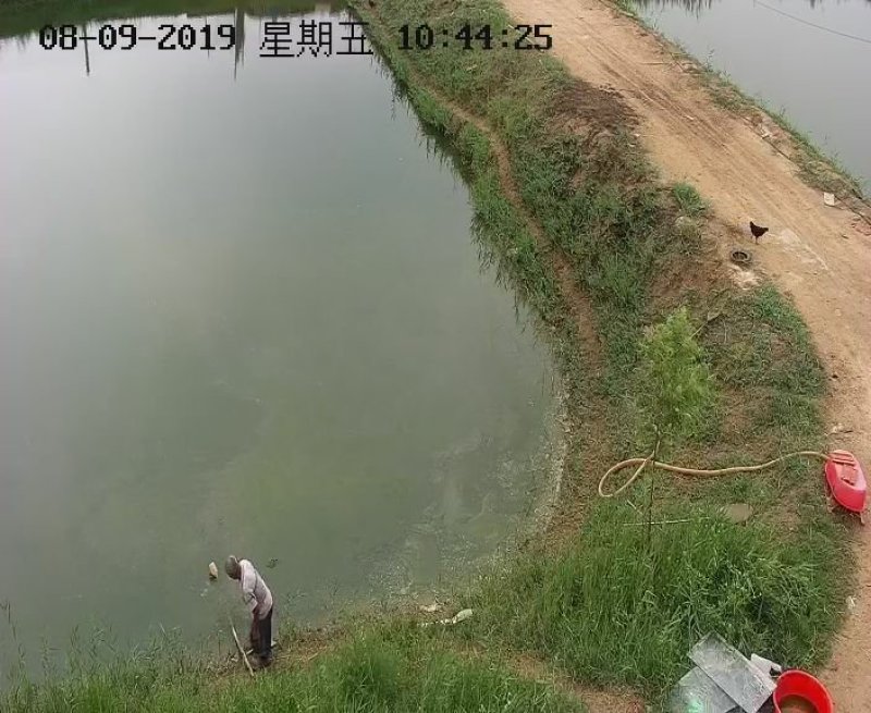 虾池转租可以视频看自己的池塘灌水方便