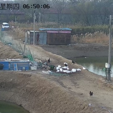 虾池转租可以视频看自己的池塘灌水方便