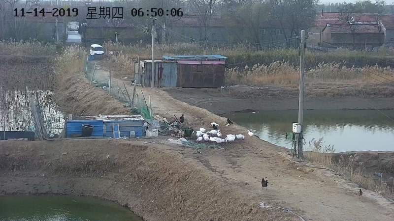 虾池转租可以视频看自己的池塘灌水方便