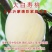 黄肉油桃苗油桃树苗嫁接黄油桃树苗南北方种植果树苗