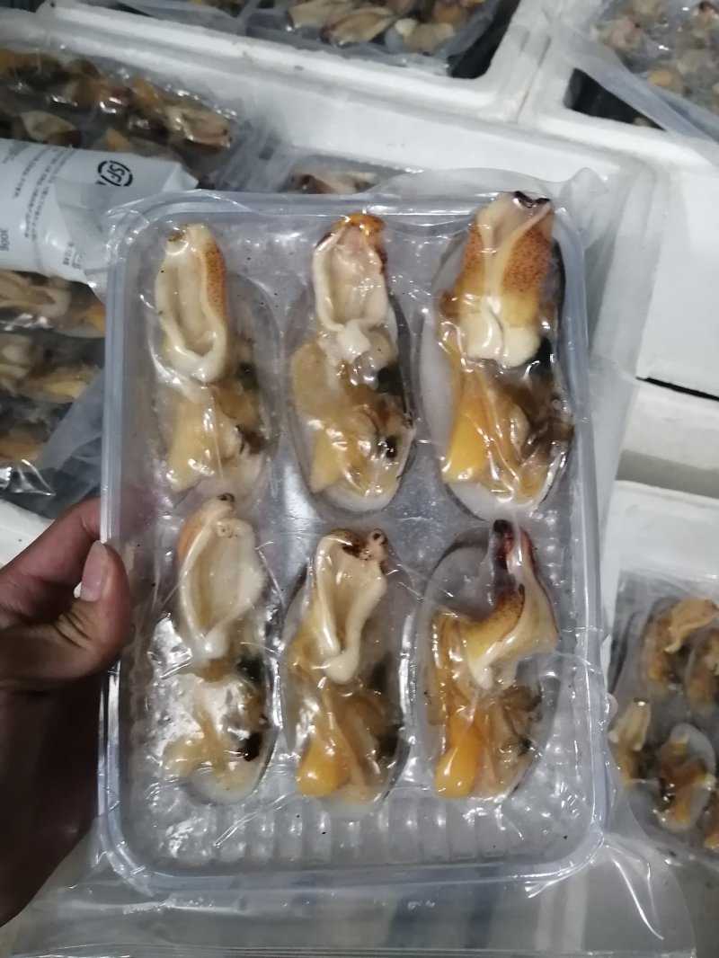 加工鲜活象拔蚌冻品