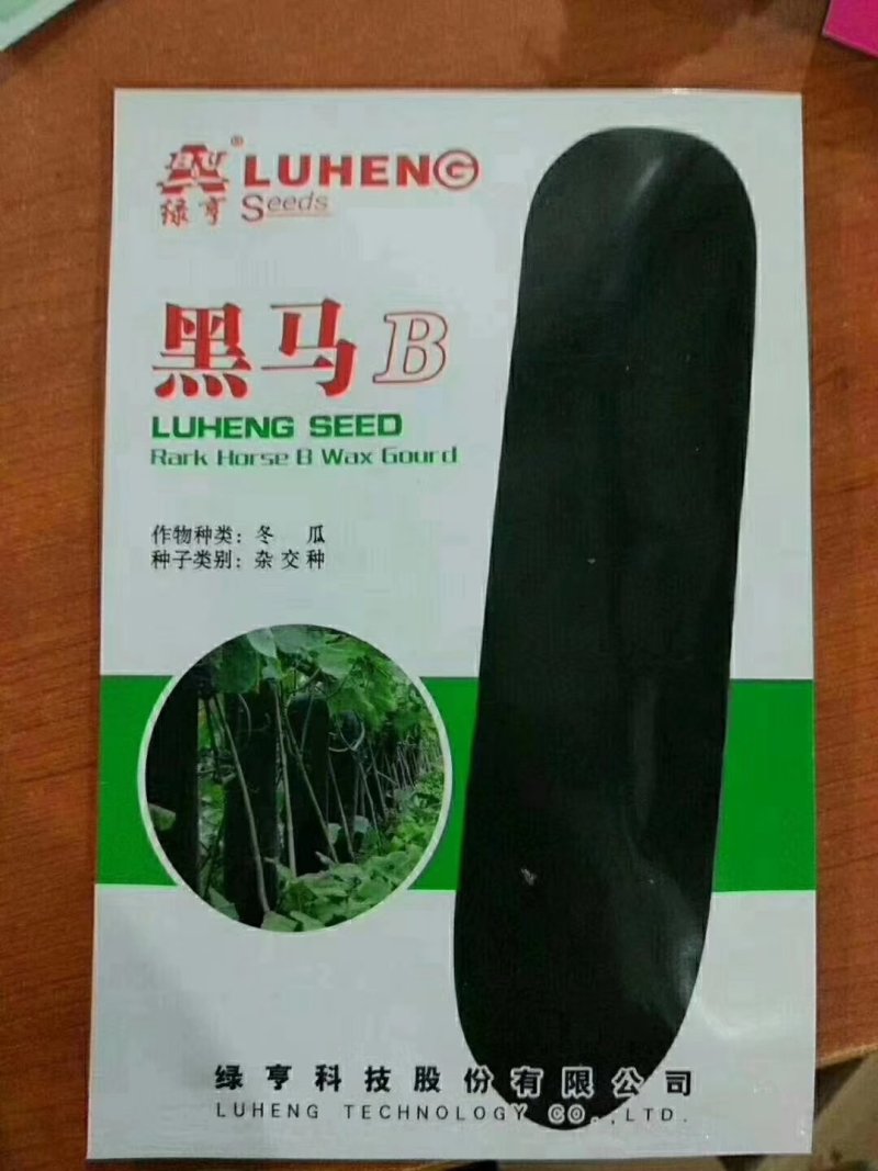 炮弹型黑皮冬瓜种子内腔小肉质厚转色快皮色黑亮有光泽