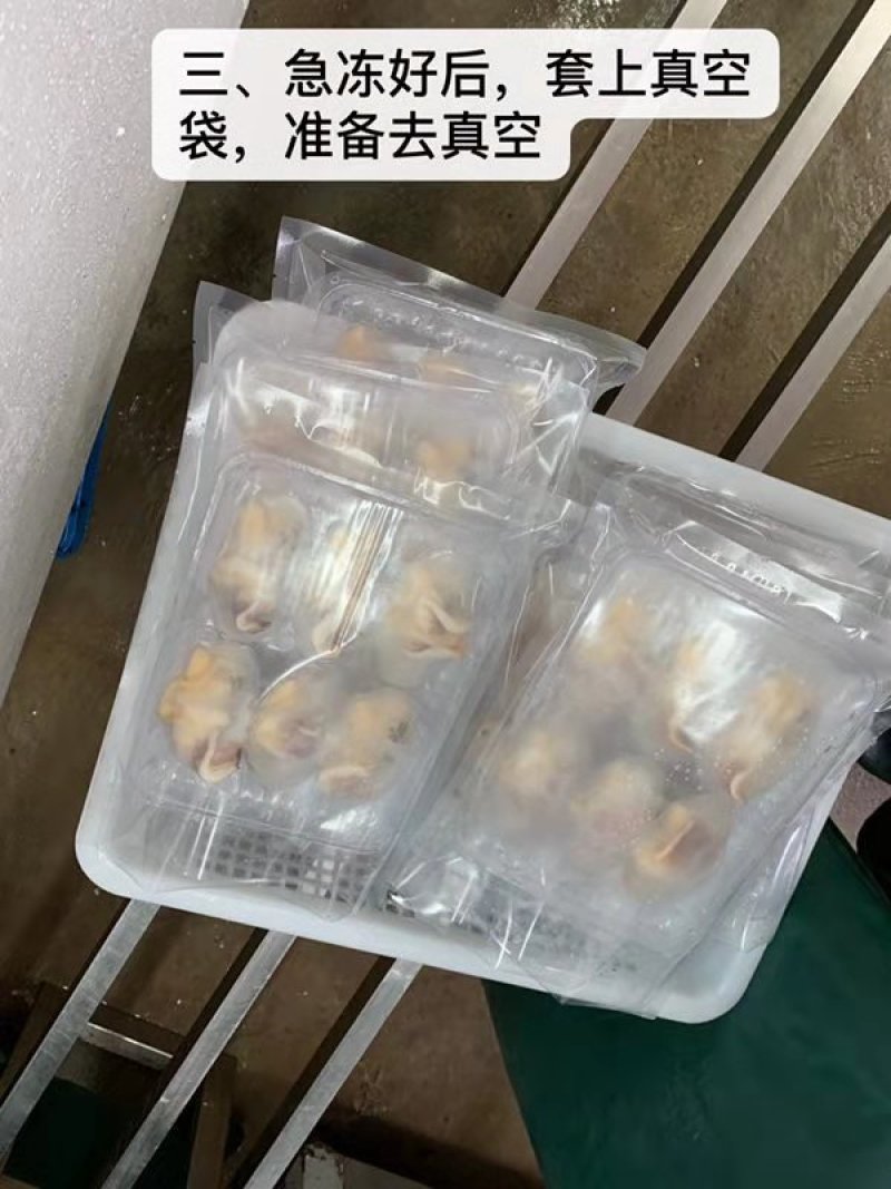 纯天然鲜活象拔蚌加工冻品特卖
