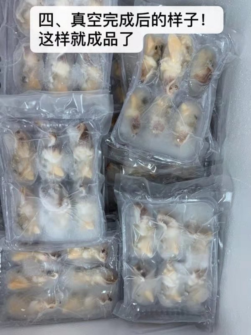纯天然鲜活象拔蚌加工冻品特卖