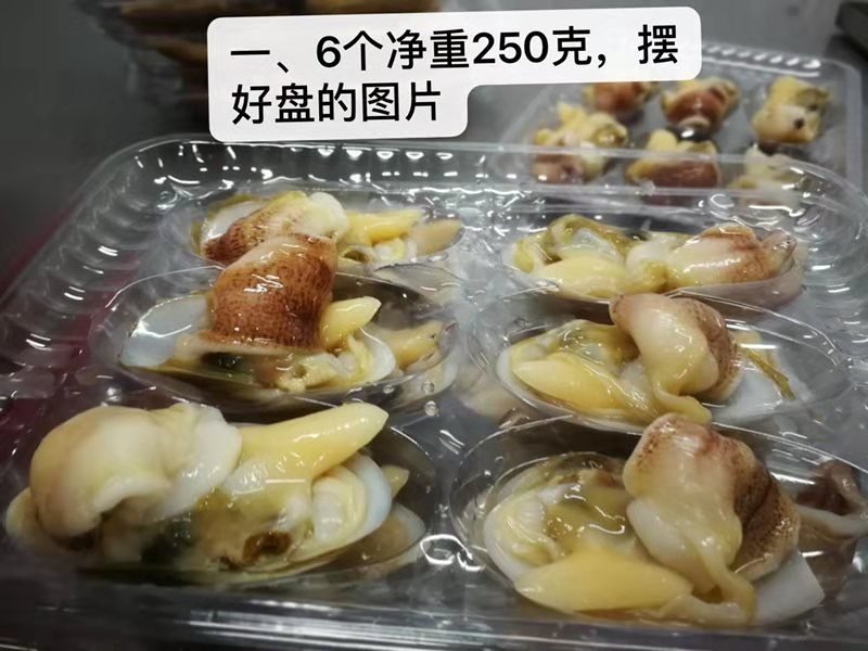 纯天然鲜活象拔蚌加工冻品特卖