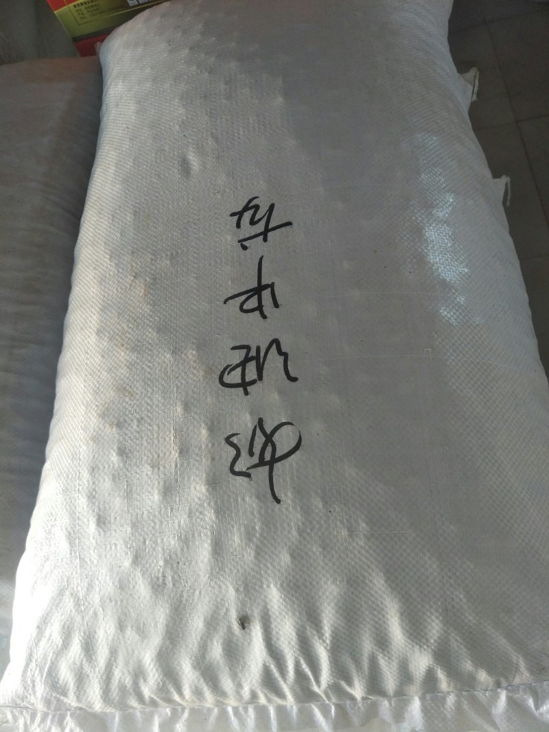 开口杏核，生熟杏仁，，，。。。。。。。。