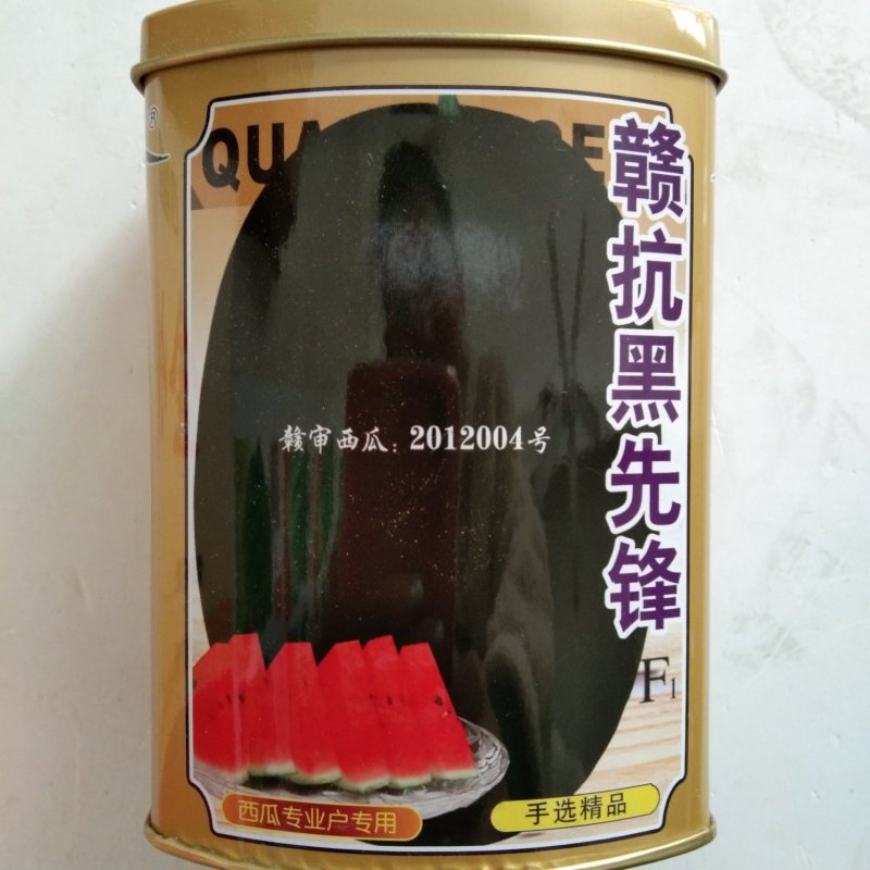 西瓜种子冰糖麒麟王，早佳84-24，黑抗种子